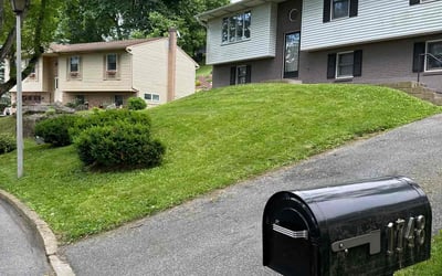 Photo of D'Angelo C.'s yard after getting lawn care in Bangor, PA