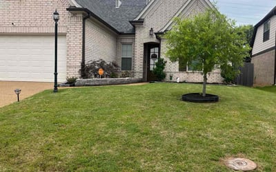 Photo of Brooke W.'s yard after getting lawn care in Cordova, TN