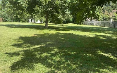Photo of Bonnie c.'s yard after getting lawn care in Walker, LA