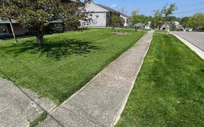 Photo of Nadia S.'s yard after getting lawn care in Fairfield, OH