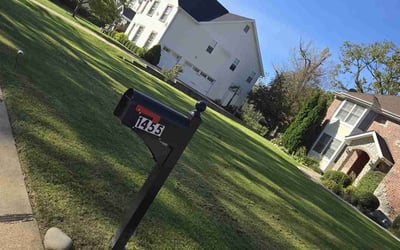 Photo of Wanda C.'s yard after getting lawn care in Overland, MO