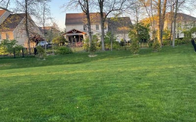Photo of Myles C.'s yard after getting lawn care in Circleville, OH