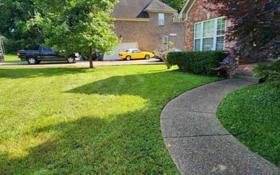 Photo of Brooke S.'s yard after getting lawn care in Mount Pleasant, TN