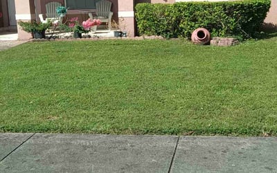 Photo of Charlotte L.'s yard after getting lawn care in Indianapolis, IN