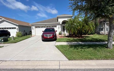Photo of Thomas B.'s yard after getting lawn care in Gulfport, FL