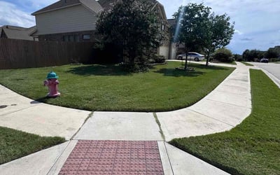 Photo of Jeffrey L.'s yard after getting lawn care in Pflugerville, TX