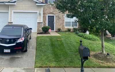 Photo of Britney W.'s yard after getting lawn care in Milwaukee, WI