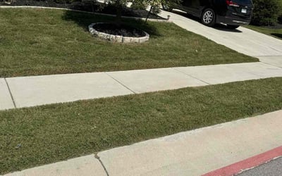 Photo of Donna P.'s yard after getting lawn care in Longview, TX