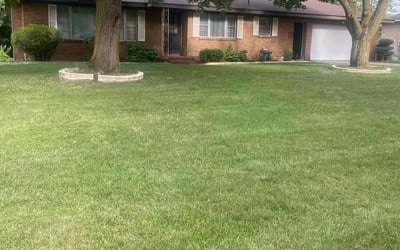 Photo of Jennifer C.'s yard after getting lawn care in Grand Rapids, MI
