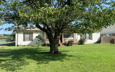 Photo of Diane G.'s yard after getting lawn care in Santa Clara, CA
