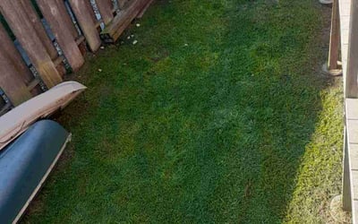 Photo of Tristin T.'s yard after getting lawn care in Napa, CA