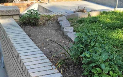 Photo of Norvell C.'s yard after getting tree care in Waterford, MI