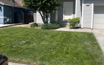 Photo of Matt H.'s yard after getting lawn care in Patterson, CA