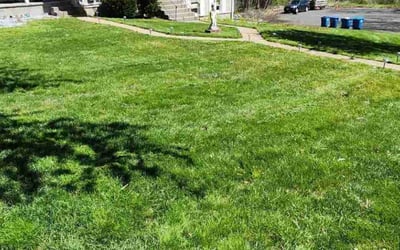 Photo of Kelly W.'s yard after getting lawn care in West Springfield, MA