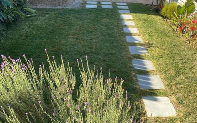 Photo of Josh C.'s yard after getting lawn care in Los Angeles, CA