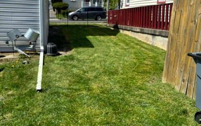 Photo of Dan K.'s yard after getting lawn care in Hackettstown, NJ