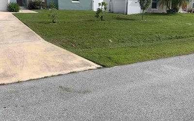 Photo of Merrie L.'s yard after getting lawn care in Poinciana, FL