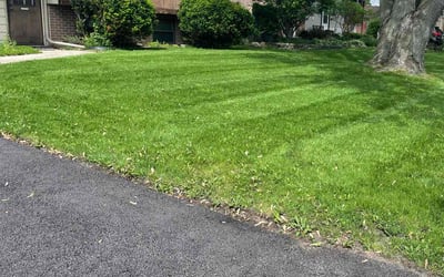 Photo of Hind S.'s yard after getting lawn care in Bolingbrook, IL