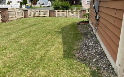 Photo of Jenn T.'s yard after getting lawn care in Hartford, CT