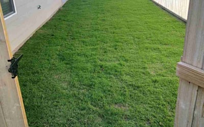 Photo of Jacob B.'s yard after getting lawn care in Temple, TX