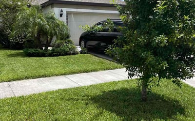 Photo of Ashley G.'s yard after getting lawn care in Inverness, FL