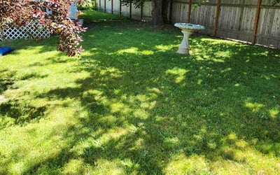 Photo of Nancy S.'s yard after getting lawn care in Aloha, OR