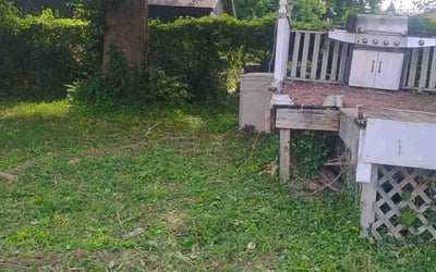 Photo of Lindsey M.'s yard after getting lawn care in Washington, PA
