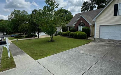 Photo of Brianna G.'s yard after getting lawn care in Bayonne, NJ