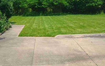 Photo of Caylan M.'s yard after getting lawn care in Springfield, OR