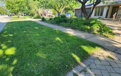 Photo of Bernard B.'s yard after getting lawn care in Lansdowne, PA