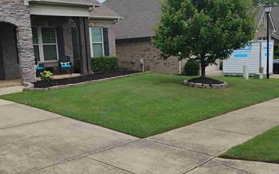 Photo of Tara V.'s yard after getting lawn care in Indian Trail, NC