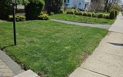 Photo of Cristina D.'s yard after getting lawn care in Maplewood, NJ