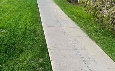 Photo of Elizabeth B.'s yard after getting lawn care in Phoenix, AZ