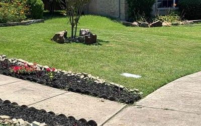 Photo of Maureen M.'s yard after getting lawn care in Rockwall, TX