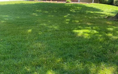 Photo of Darrell P.'s yard after getting lawn care in Bowie, MD