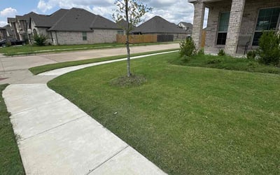 Photo of Michael C.'s yard after getting lawn care in Forney, TX