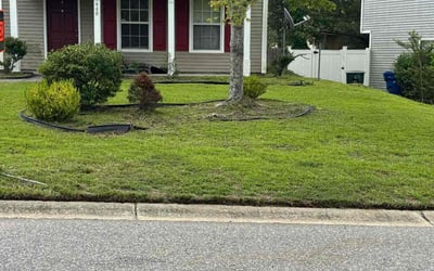 Photo of Sandra K.'s yard after getting lawn care in Homestead, PA