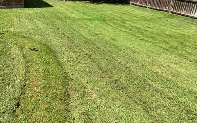 Photo of Dianne M.'s yard after getting lawn care in Burlington, NC