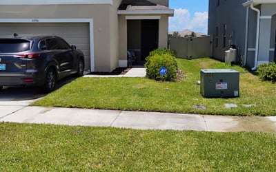 Photo of Pam D.'s yard after getting lawn care in Fairport, NY