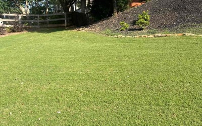 Photo of Joanna P.'s yard after getting lawn care in Mobile, AL