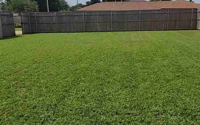 Photo of Tylere H.'s yard after getting lawn care in Thibodaux, LA
