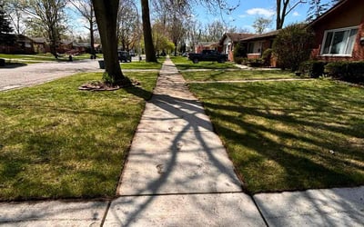 Photo of Carlyn N.'s yard after getting lawn care in Battle Creek, MI