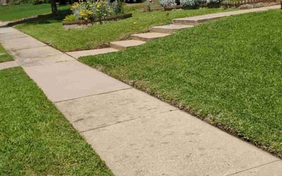 Photo of Tejal G.'s yard after getting lawn care in San Rafael, CA