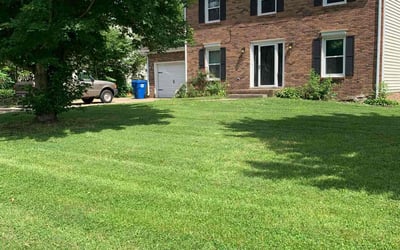 Photo of Marc L.'s yard after getting lawn care in Lincoln Park, MI
