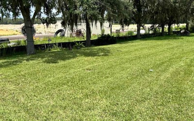Photo of Karen V.'s yard after getting lawn care in Neptune, NJ