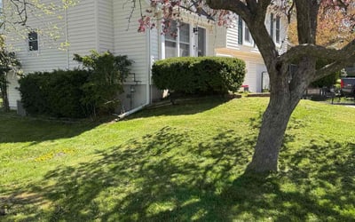 Photo of Laura L.'s yard after getting lawn care in Saint Joseph, MO