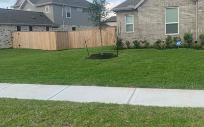 Photo of Destiny M.'s yard after getting lawn care in Sulphur, LA