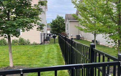 Photo of Marlynn J.'s yard after getting lawn care in Nixa, MO