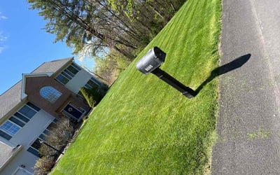 Photo of Moises A.'s yard after getting lawn care in Schenectady, NY