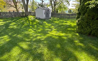 Photo of Bridget M.'s yard after getting lawn care in Hilliard, OH